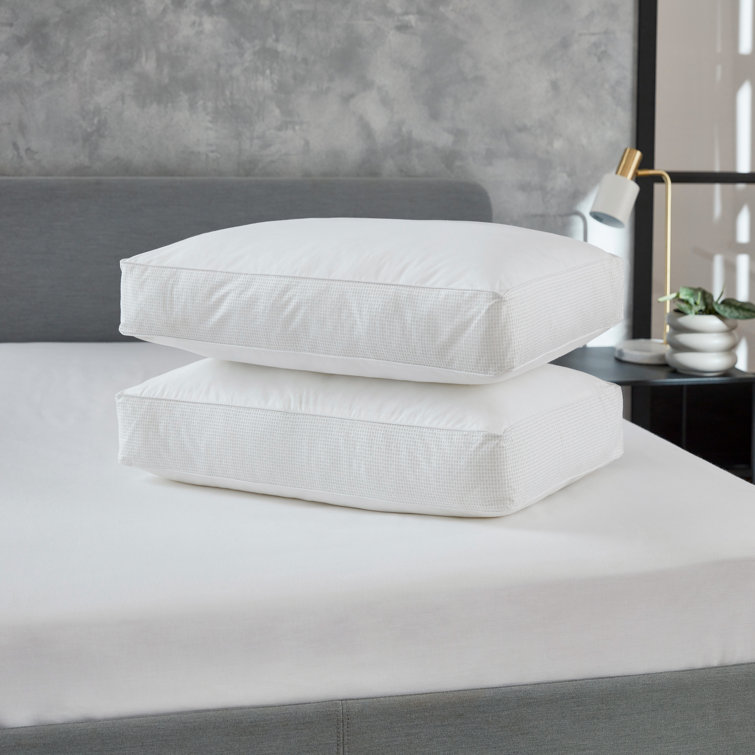 DKNY Supremely Polyester Plush Support Pillow Wayfair.co.uk